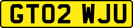 GT02WJU