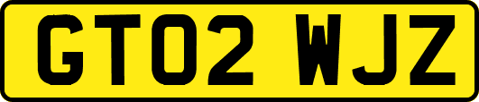 GT02WJZ