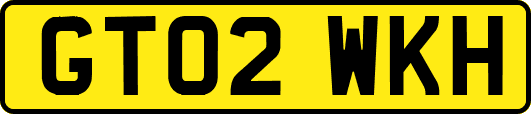 GT02WKH