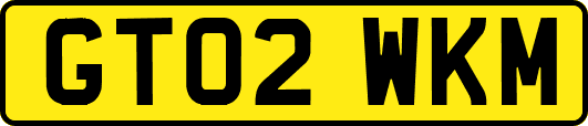 GT02WKM