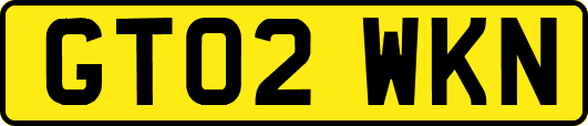 GT02WKN
