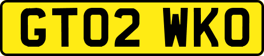 GT02WKO