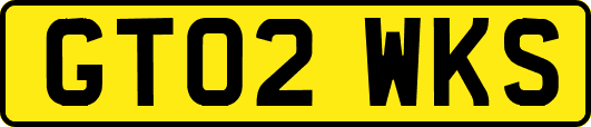 GT02WKS