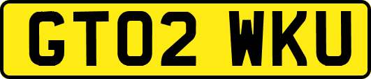 GT02WKU