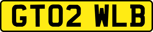 GT02WLB
