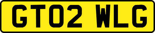 GT02WLG