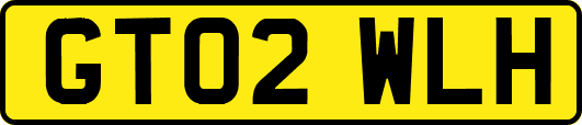 GT02WLH