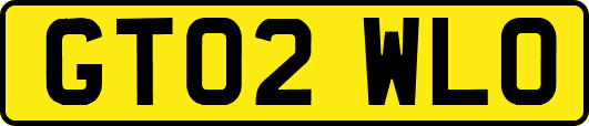 GT02WLO