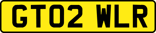 GT02WLR