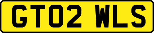 GT02WLS