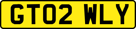 GT02WLY