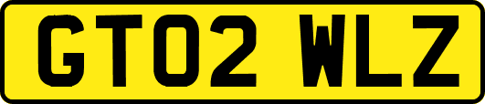 GT02WLZ