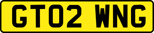 GT02WNG