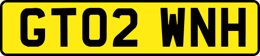 GT02WNH