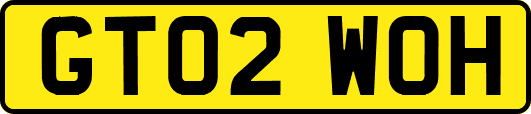 GT02WOH