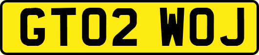 GT02WOJ