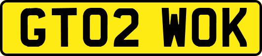 GT02WOK