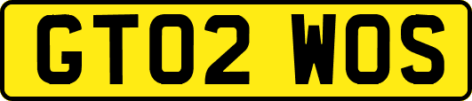 GT02WOS