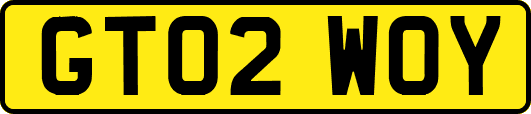 GT02WOY