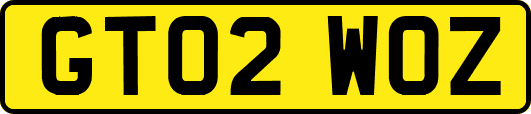 GT02WOZ