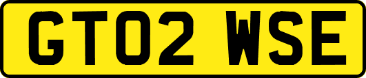 GT02WSE