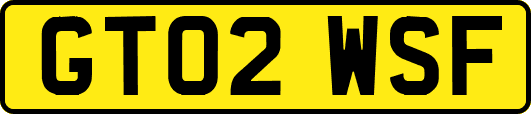 GT02WSF