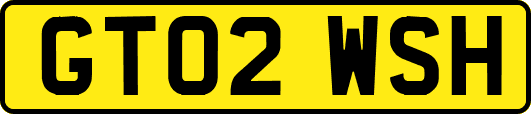 GT02WSH