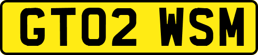 GT02WSM