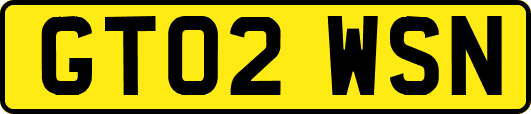 GT02WSN