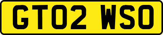GT02WSO