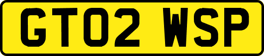 GT02WSP