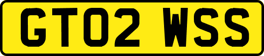 GT02WSS