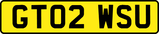 GT02WSU