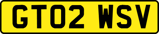 GT02WSV