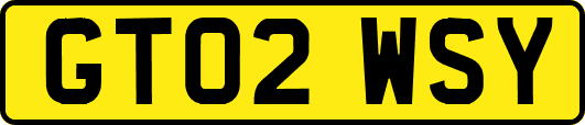 GT02WSY