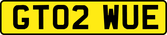 GT02WUE