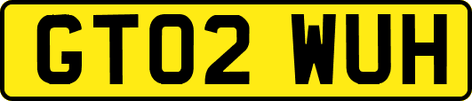 GT02WUH