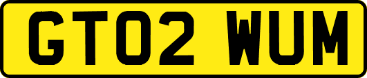 GT02WUM