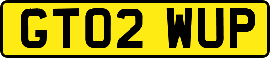 GT02WUP