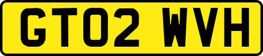 GT02WVH