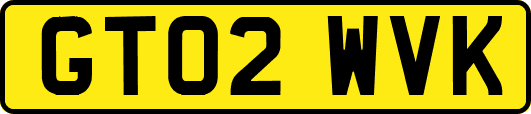 GT02WVK