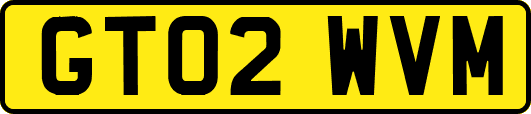 GT02WVM