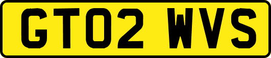 GT02WVS