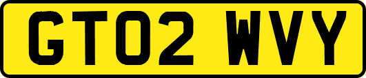 GT02WVY