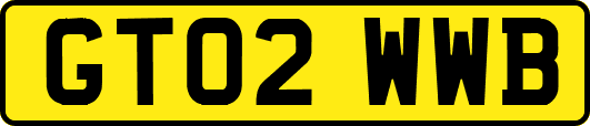 GT02WWB