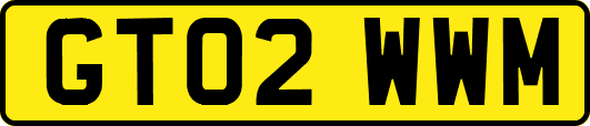 GT02WWM