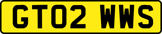 GT02WWS