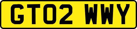GT02WWY