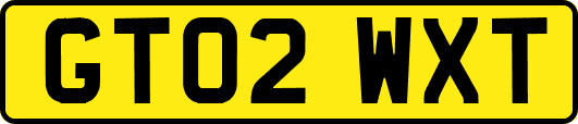 GT02WXT