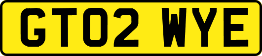 GT02WYE